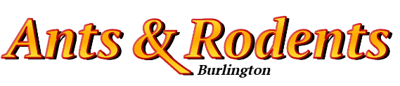 Burlington Ant Exterminator & Rodent Control Company Logo
